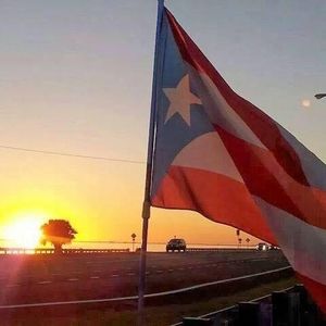 Meet your Posher, Jose